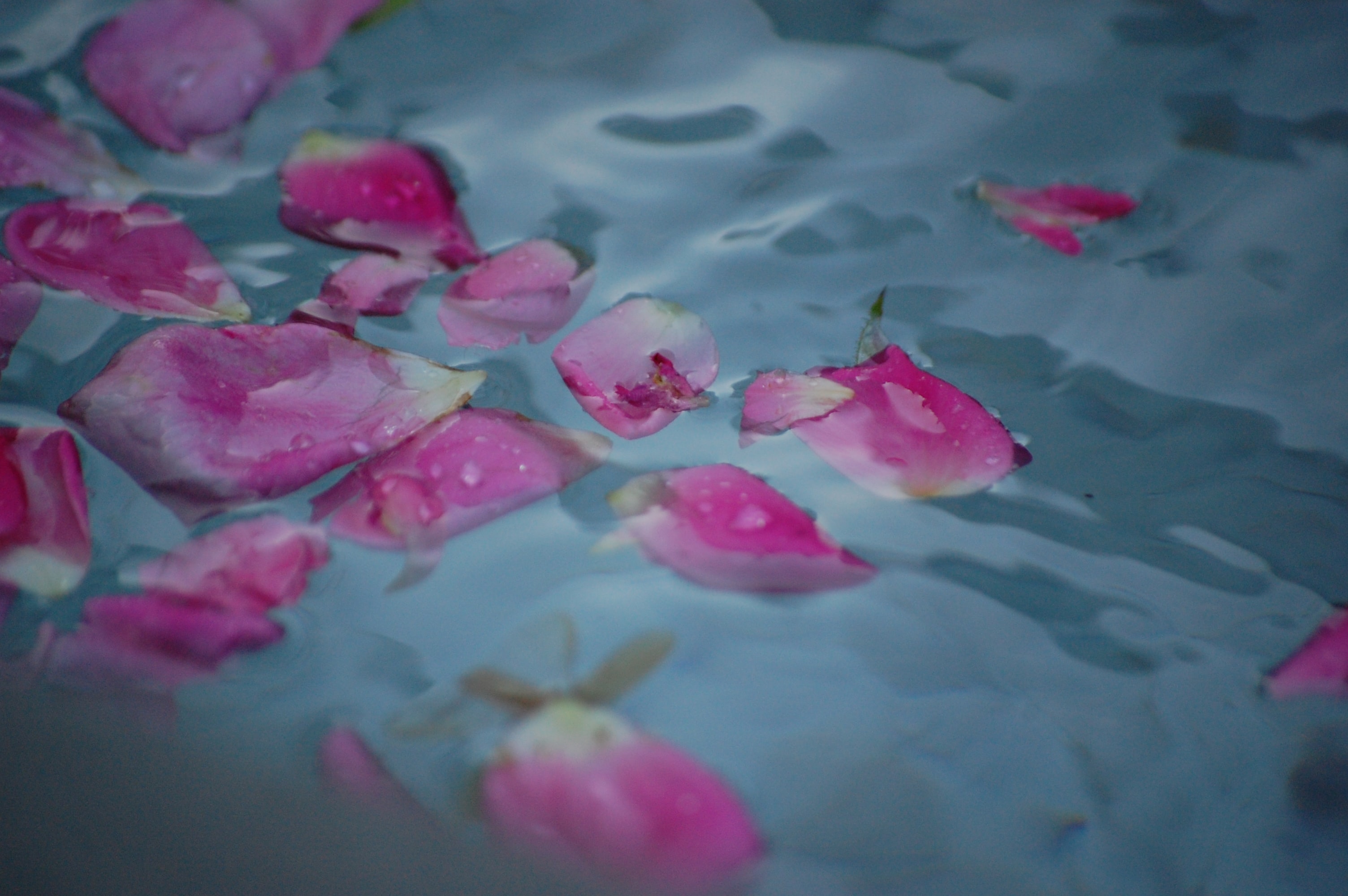 elly-johnson-0omE39JtUAQ-unsplash