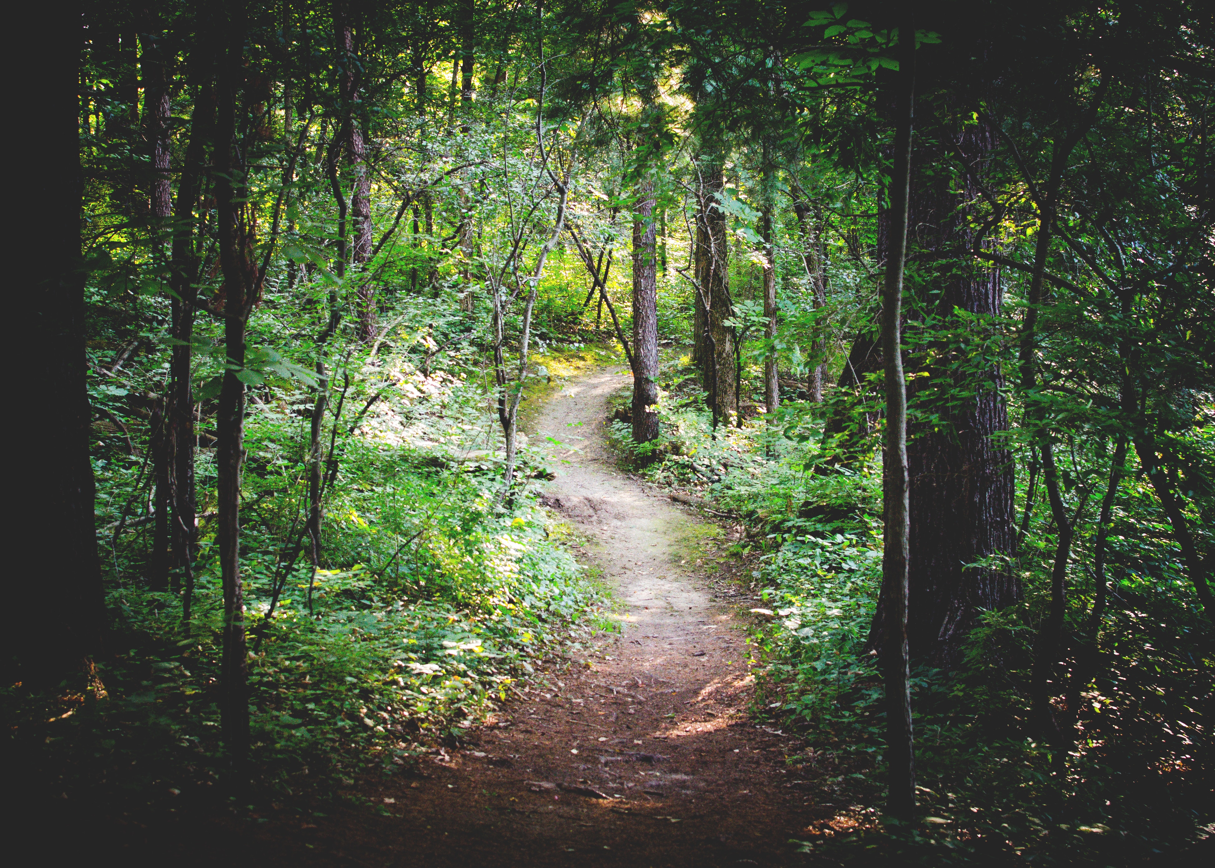 zack-silver-49053-unsplash (1)